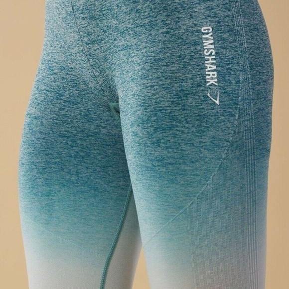 ADAPT OMBRE SEAMLESS LEGGINGS - Picture 7 of 12